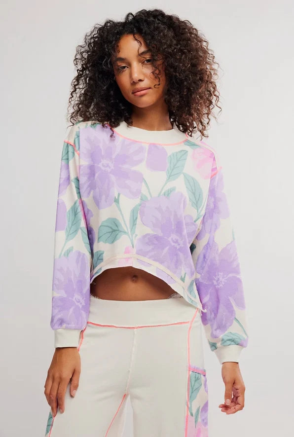 Free People Summer Loving Long Sleeve Crew Neck Knit Pullover - Ivory Combo